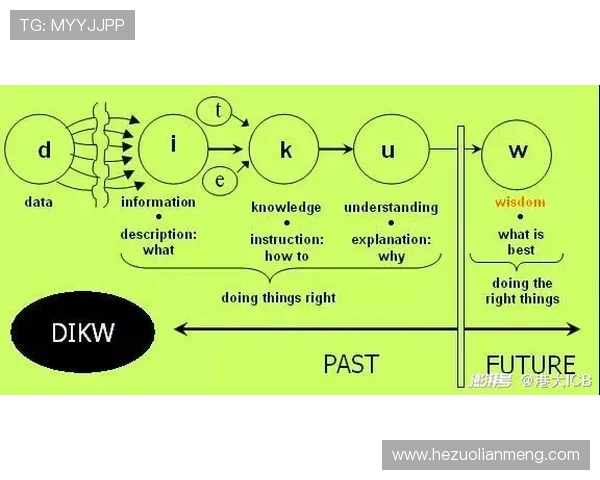 壹号中文站：探索最全面的中文学习资源与交流平台